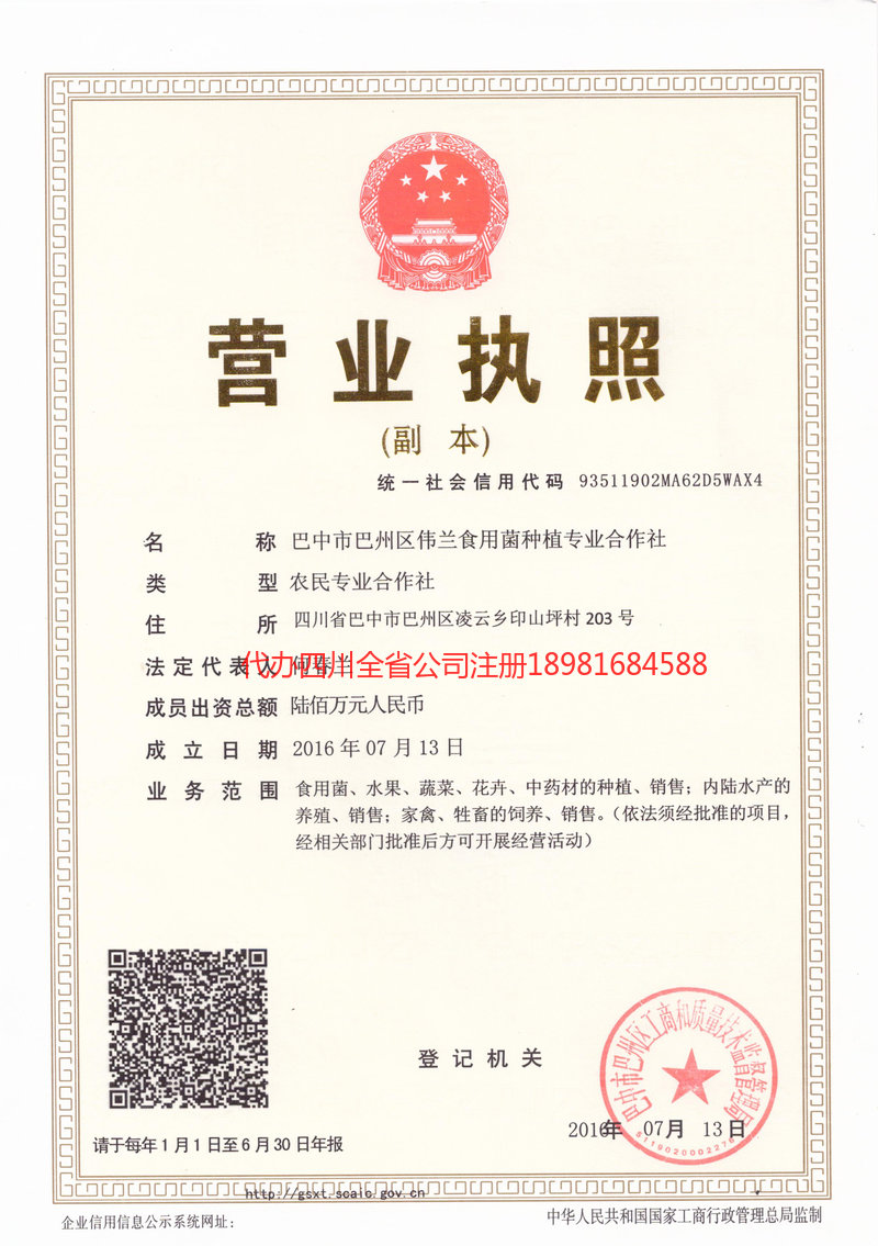 白银白银伟兰食用菌种植专业合作社